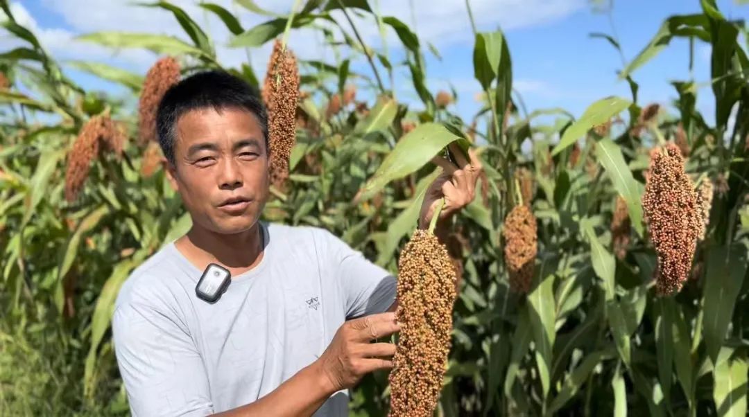 白菜送彩金59网站大全